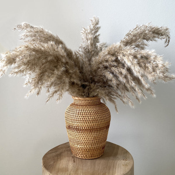 Pampasgras extra fluffig (8-Stiele) - NUA CONCEPT