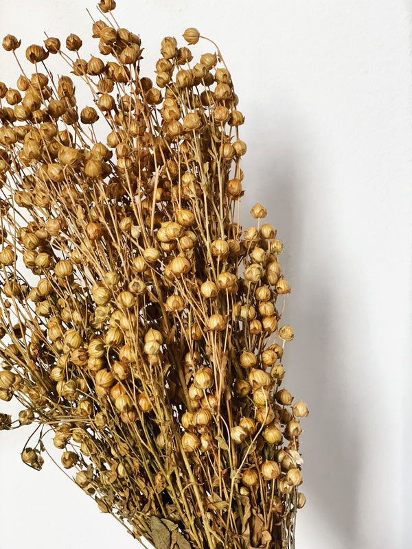 Trockenblume Flachs Bund - NUA CONCEPT