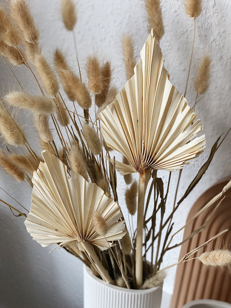 Trockenblume Palm Spear (2 Stück) - NUA CONCEPT