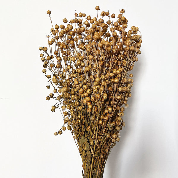 Trockenblume Flachs Bund - NUA CONCEPT